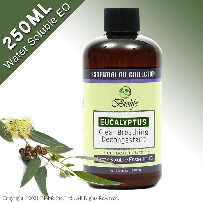 Gambar Biolife Eucalyptus Water Soluble Aromatherapy Essential 250ml, Natural Botanical Extracts. Chemical Free. Use With Aroma Diffusers, Air Revitalizers, Air Purifiers, Humidifiers. dari Sophia shops2 undefined Tokopedia