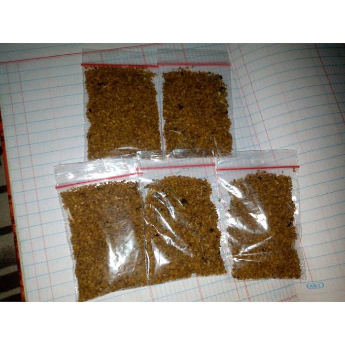 Gambar biji pohon langu lancing solonum mauritianum pnnlhj 6147ve dari Ichacoz undefined Tokopedia