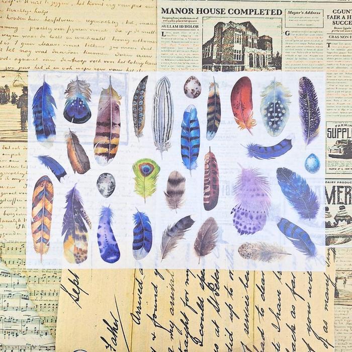 Gambar SMALL FRESH FLAT STICKERS JAPANESE ART PAPER NEW / Sticker set 3 pcs - BEAUTY FEATHERS dari Zumoo.Ten undefined Tokopedia