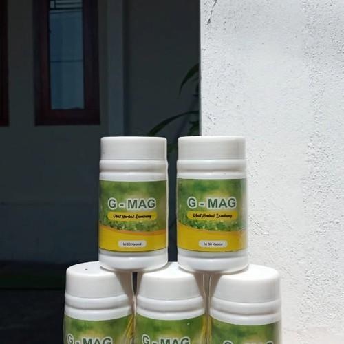 Gambar [ Gratis Ongkir ] OBAT LAMBUNG KRONIS PALING AMPUH PRODUK HERBAL G-MAG dari RERE STORE 06 undefined Tokopedia