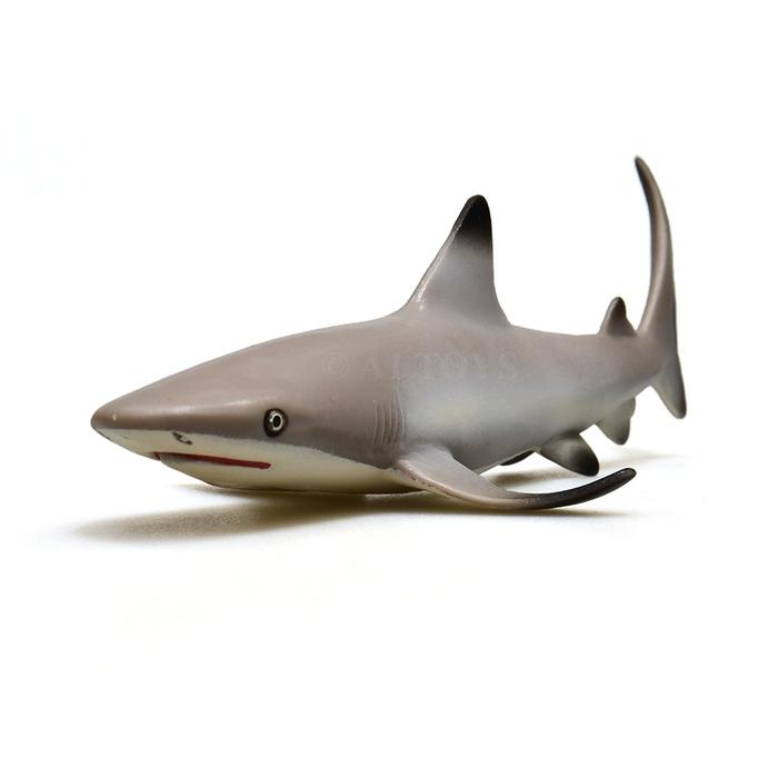 Gambar Mainan miniatur ikan Hiu Sirip Hitam Blacktip Reef Shark Safari 13 cm dari wijialfiayal undefined Tokopedia