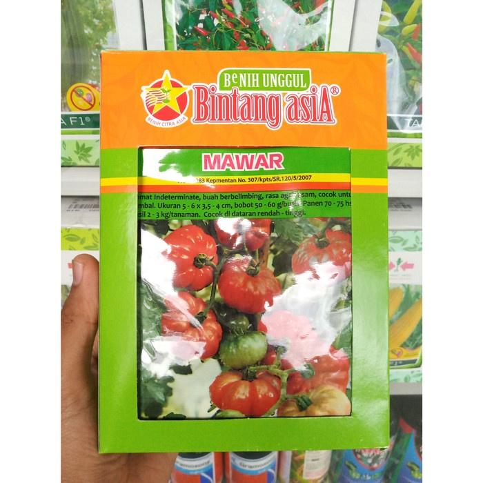 Gambar benih tomat ranti / keriting mawar (10 gram) - bibit bin dgxivi 9252de dari NEMMOCA undefined Tokopedia