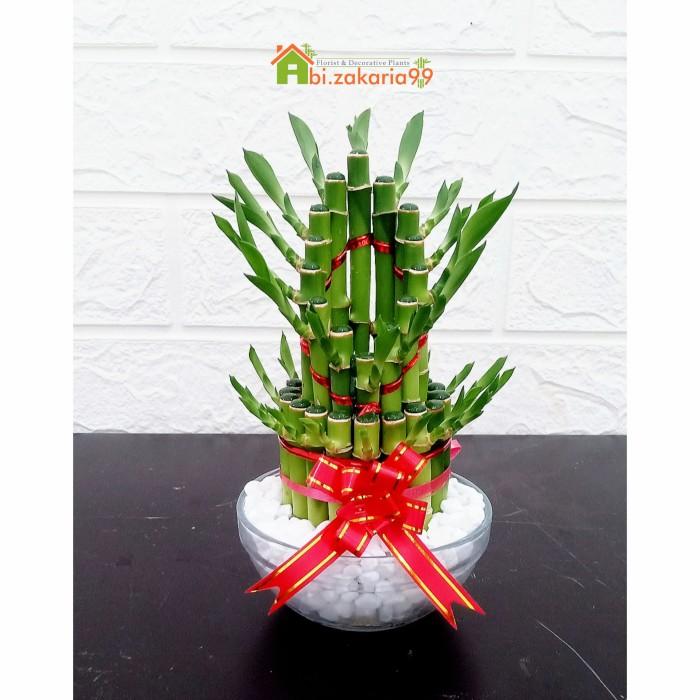 Gambar BAMBU HOKI/ SRI REJEKI/ LUCKY BAMBOO MINI + VAS KACA + BATU HIAS - Spiral (putih) dari gunnubay undefined Tokopedia
