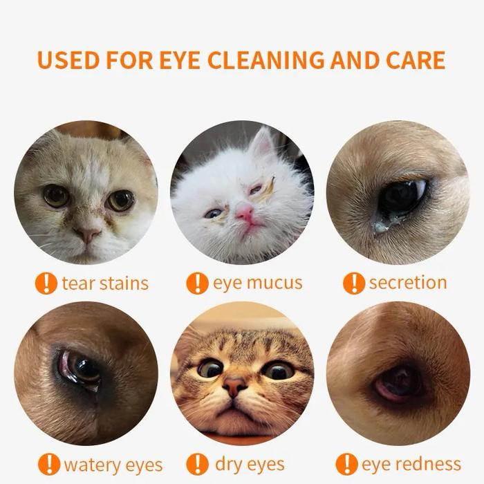 How to Treat My Cats Eye Infection at Home Naturally: Easy Remedies