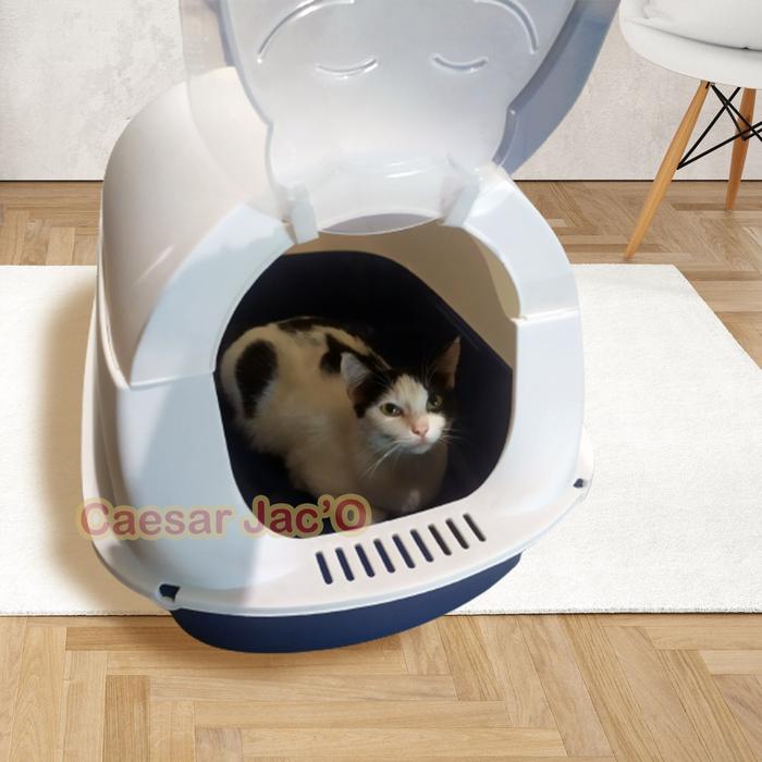 Gambar [TZRT] - Bak Kotak Pasir Tertutup Kucing Jumbo / Cat Litter Box Giant dari Maysuu old undefined Tokopedia