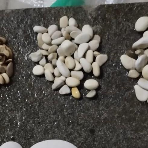 Gambar Batu Hias Tanaman Taman Warna Putih Besar Grosir Pondok Gede - 0,5-1 Cm Xs dari Petani Kota Sawangan undefined Tokopedia