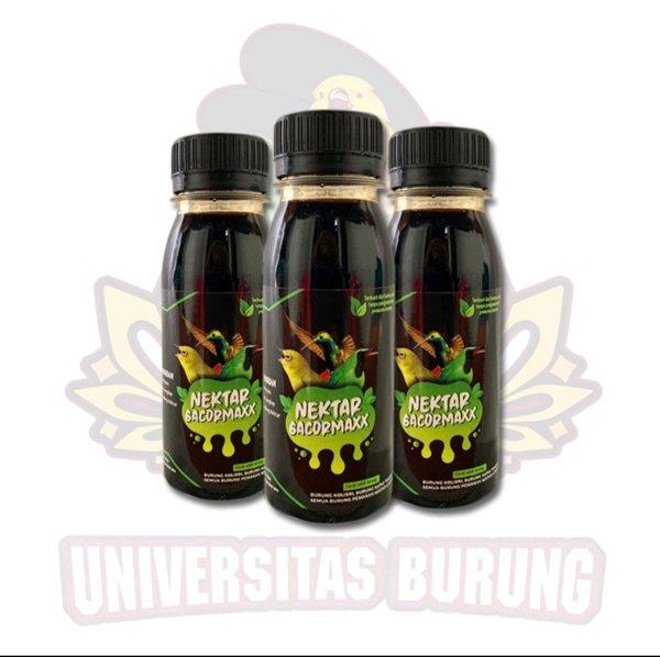 Gambar Sale Nektar Gacormaxx Nekstar Konin Nextar Kolibri Pleci Sogon Gacor Maxx dari dadabtoko undefined Tokopedia