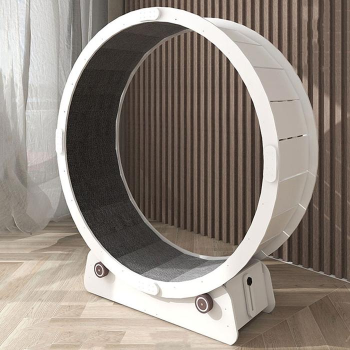 Gambar Silent Proform Treadmill for Pet Exercise,Cat Toys,Interactive Gym Training Wheel,Tunnel Claw Sharpener,Pets Supplies,Furniture dari Kanjje undefined Tokopedia