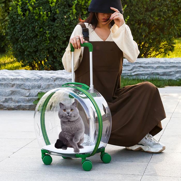Gambar Trolley Suitcase Carrier Transparent Pet Carrying Bag Cats Conveyors Carrying and Strollers Cat Cage with Wheels Pet Products dari Kanjje undefined Tokopedia
