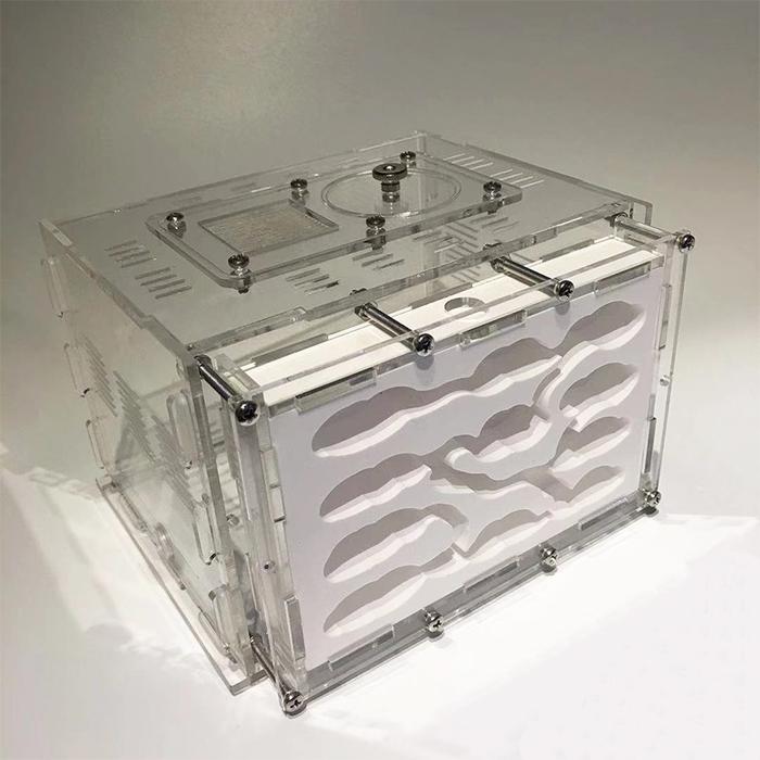Gambar New Diy Gypsum Ant Farm Plaster Ant Nest With Feeding Area Moistu dari ElectronicShoppp undefined Tokopedia