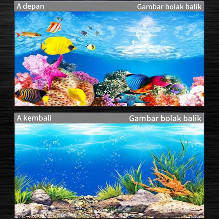 Gambar SBT 50CM STICKER BACKGROUND AQUARIUM 2 SISI motif A,C,E,G,H,K / TIMBAL BALIK /AQUASCAPE / STIKER AKUARIUM / SCOUTLITE - A, 50 x 50 cm dari SEABLUETANK undefined Tokopedia