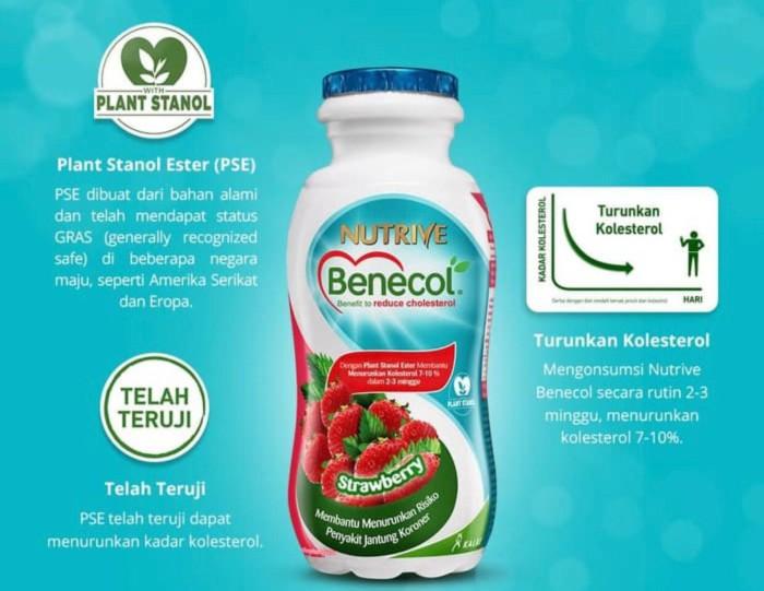Gambar Best Seller Nutrive Benecol 6X100Ml Blackcurrant, Lecy, Orange Dan Strawberry - Strawberi dari toprak undefined Tokopedia