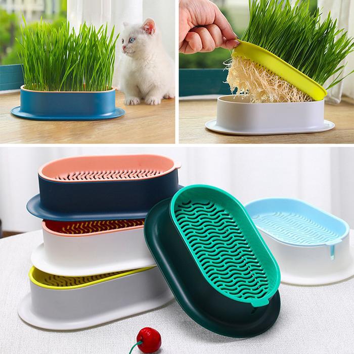 Gambar TD Pet Supplies Wholesale Cat Snacks Catnip Planting Hydroponic Box dari Todays Digital undefined Tokopedia