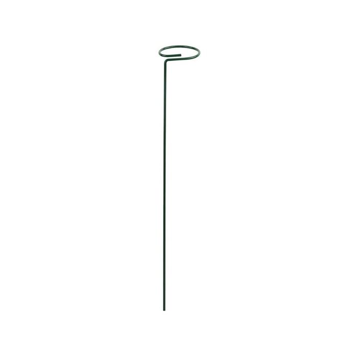 Gambar Plant Stake Wrought Iron Rings Single Stem Shrub Holder Garden Support Stakes Indoor Outdoor Garden Yard Fixing dari Quirky Questssr undefined Tokopedia