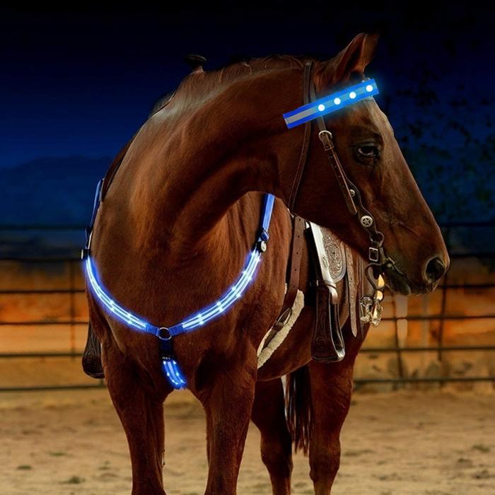 Gambar Outdoor LED Luminous Horse Chest Belt Horse Gear Equestrian Store 10B dari mnshoops undefined Tokopedia