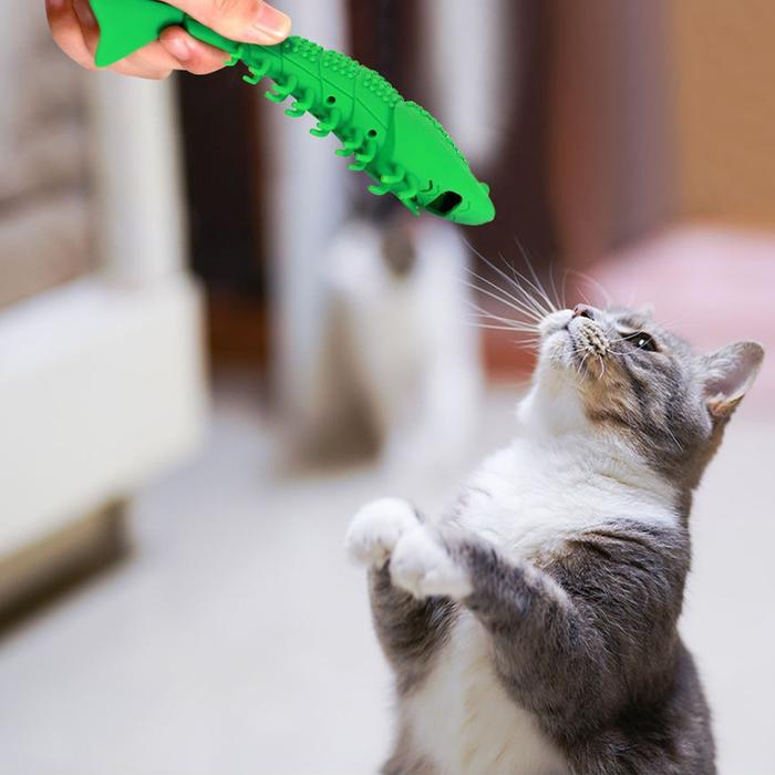 Gambar Funny Cat Stick Cat Supplies Rubber Wear-resistant Soft 360-degree All-round Cleaning Of Teeth Bump Design Catnip Reusable dari Sawah123 undefined Tokopedia
