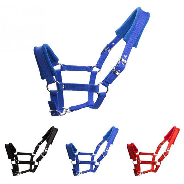 Gambar Cob Padding Horse Halter Bridle Equestrian Reinforcement Adjustable Neck Strap dari renggoakbarstore undefined Tokopedia