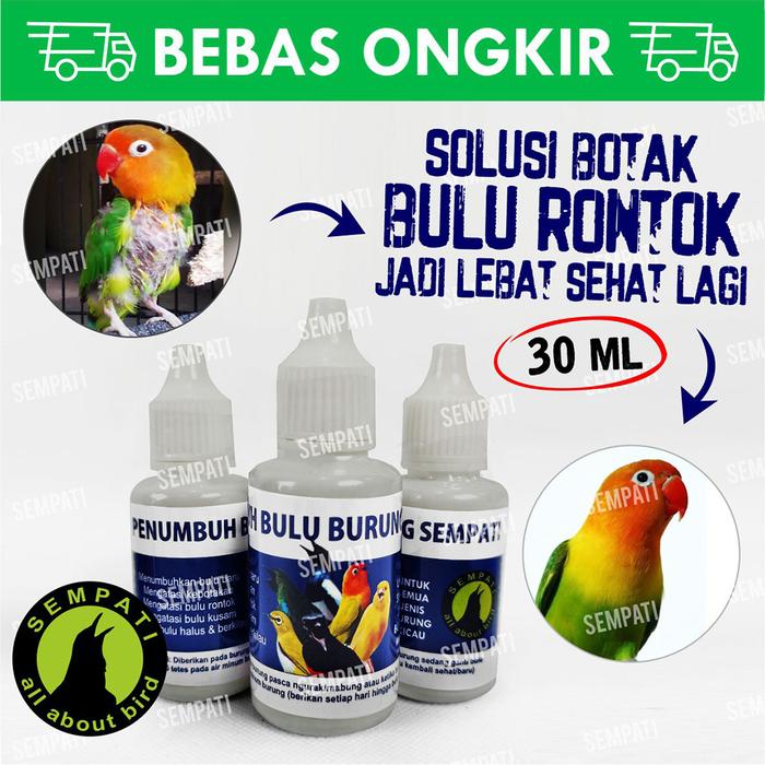 Gambar OBAT PENUMBUH BULU BURUNG ATASI BULU RONTOK PATAH MABUNG BERMASALAH dari Sempati Bird Shop undefined Tokopedia