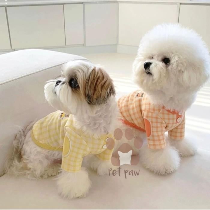Gambar BARANG TERLARIS PETPAW BAJU ANJING KUCING ZEE TOP SIMPLE KAOS SANTAI PREMIUM IMPORT READYY - M, Yellow dari lima N shop undefined Tokopedia