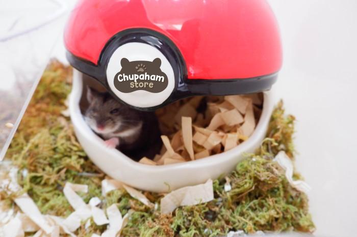 Gambar BERKUALITAS Dried Moss Hedgehog Planet / Lumut Kering / Bedding Hamster - Fullpack dari SIS_shopp undefined Tokopedia