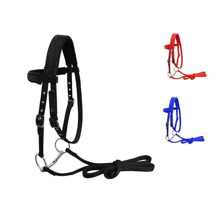 Gambar Horse Rein Harness Headstalls Removable Snaffle 20 Mm PP Webbing Equestrian Gear For Outdoor Riding Training LT5000 dari Winged Nightmare undefined Tokopedia
