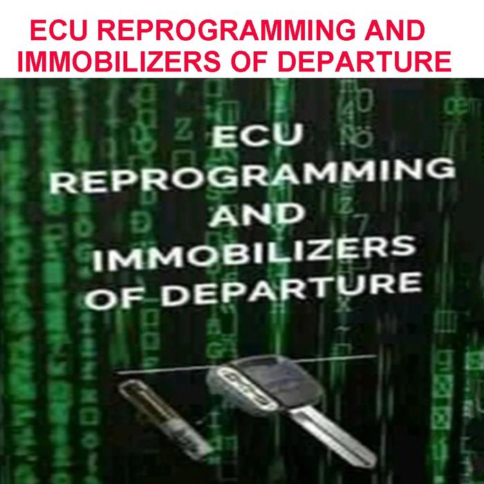 Gambar (IMPORT) Car Truck Diagnostic Tools 5 ECU REPAIR Manuals Repairing Injection Modules in the Workshop DIESEL ELECTRONICS Study Guide dari Rahwara Storess undefined Tokopedia