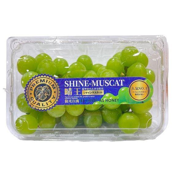 Gambar BUAH ANGGUR HIJAU PACK - FRESH dari Hypermart Pontianak undefined Tokopedia