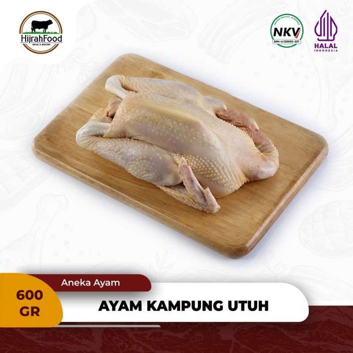 Gambar Ayam Kampung Karkas Utuh | Free-Range Chicken Whole Frozen - 1 Ekor - 0.7 kg (Utuh) dari Hijrahfood Meatshop undefined Tokopedia