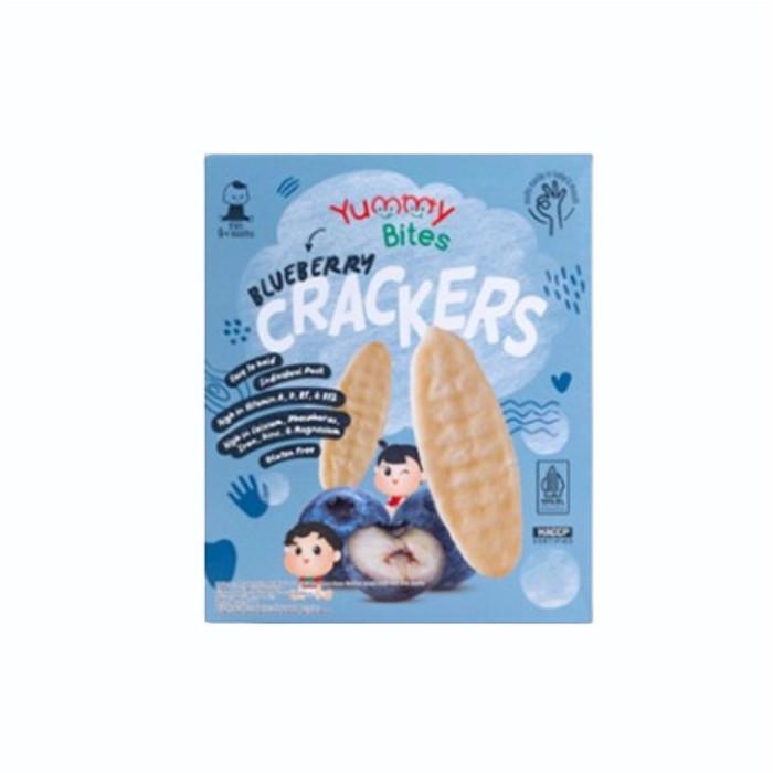 Gambar Yummy Bites Crackers Blueberry 50gr dari Total Buah Segar Bintaro undefined Tokopedia