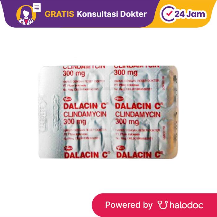 Gambar Dalacin C 300 mg 10 Kapsul - Antibiotik - Halodoc dari Apotek Puri Beta Larangan-tokopedia undefined Tokopedia