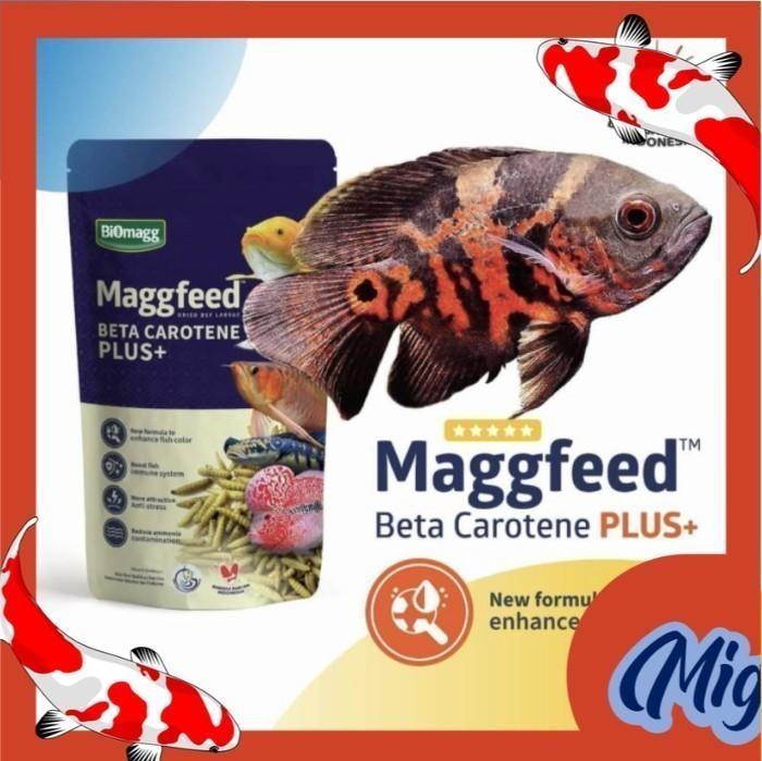 Gambar makanan ikan kura karnivora MAGGFEED BETA CAROTENE PLUS 100 GR unggu dari Miguel Aquatic Tool undefined Tokopedia