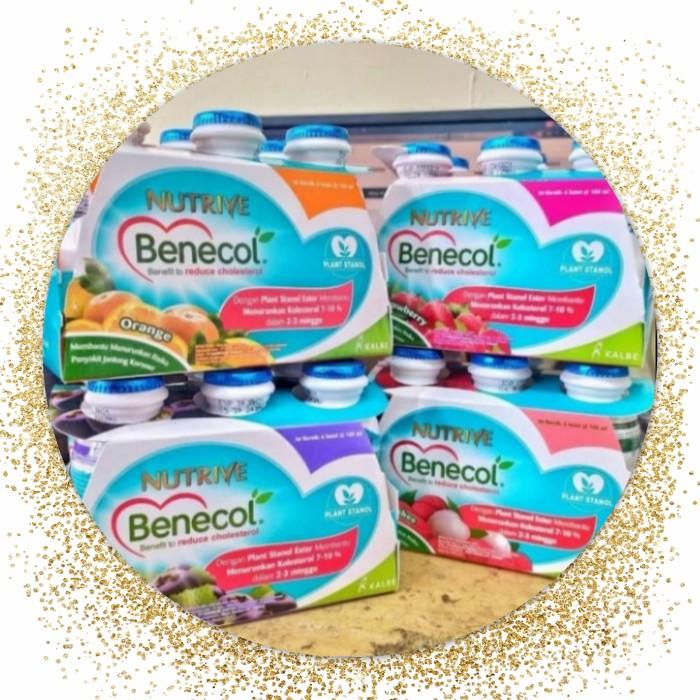 Gambar NUTRIVE BENECOL 100 ML ISI 6 BOTOL BLACKCURRANT/ORANGE/LECY/STRAWBERRY dari store purnamaa undefined Tokopedia