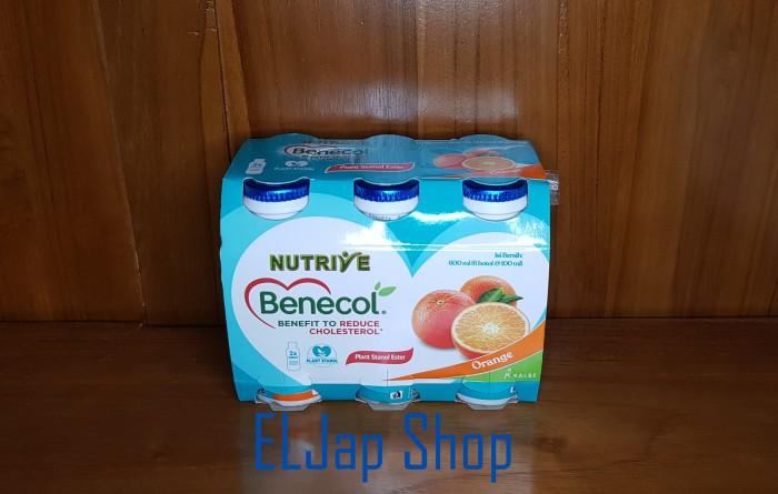 Gambar Minuman Nutrive Benecol Isi 6 Botol @ 100Ml Berkualitas dari takatirug botr547 undefined Tokopedia