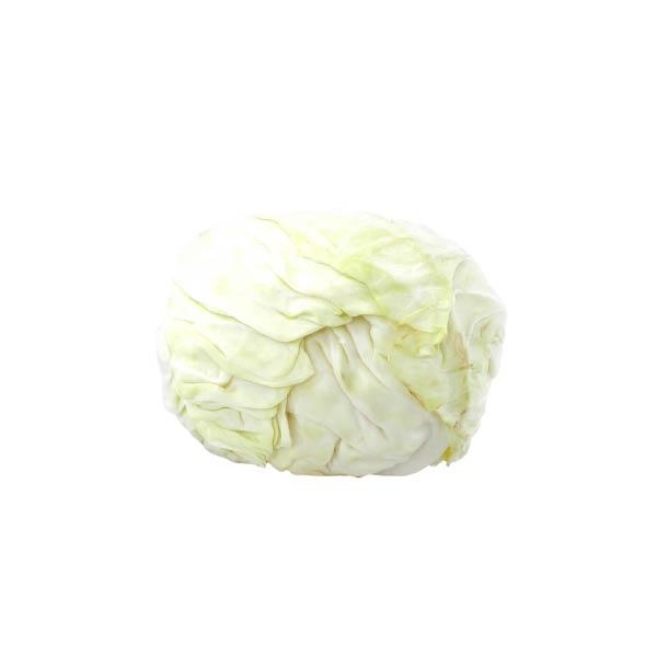 Gambar KOL PUTIH SEGAR 1200-1300 GRAM dari Hypermart Cianjur undefined Tokopedia