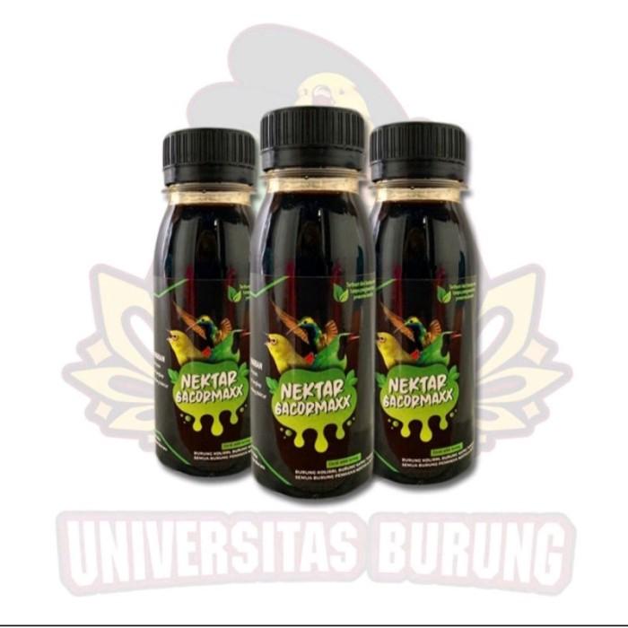 Gambar FLASSHOW| Nektar gacormaxx nekstar konin nextar kolibri pleci sogon gacor maxx dari IRVANSALIM88 undefined Tokopedia