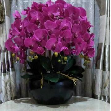 Gambar Evergreen - RANGKAIAN ANGGREK SUPER PREMIUM quality orchid flowers anggrek latex dari Evergrn shop undefined Tokopedia