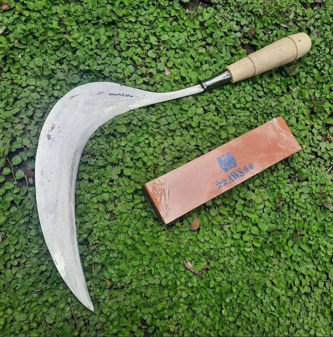 Gambar Arit Rumput Sabit Madura Bahan Baja Per Super Tajam Celurit Asli Jawa dari Sour Breeze undefined Tokopedia