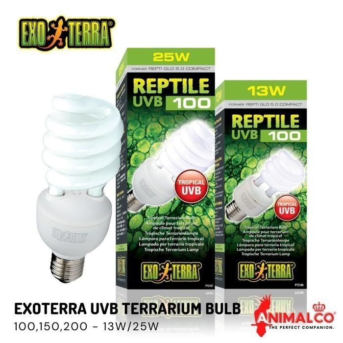 Gambar EXOTERRA UVB 100 150 200 LAMPU KALSIUM D3 REPTIL TORTO SULCATA IGUANA - UVB 100, 13 Watt dari Animal Co undefined Tokopedia