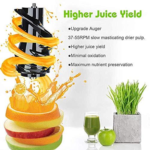 Gambar Buy 1 get 2% offSLOW JUICER 500W 99% Fresh Fruit Juice RPM 65 Fruit Extractor Blender Slow Chewing Cold Press Juicer Pembuat Jus Pure Juice Cold dari Diks Storee undefined Tokopedia