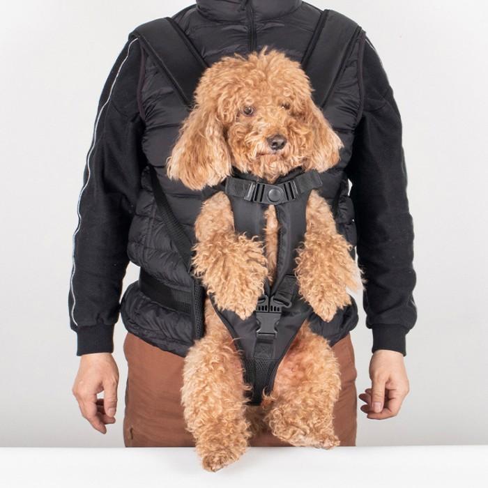 Jual WOOFIDOO Tail Up Pet Carrier Backpack Premium Dog Cat Tas