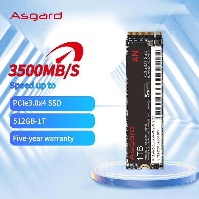 Asgard Nvme Ssd Partition Style Jual Asgard X4 SSD NVMe 512GB 1T