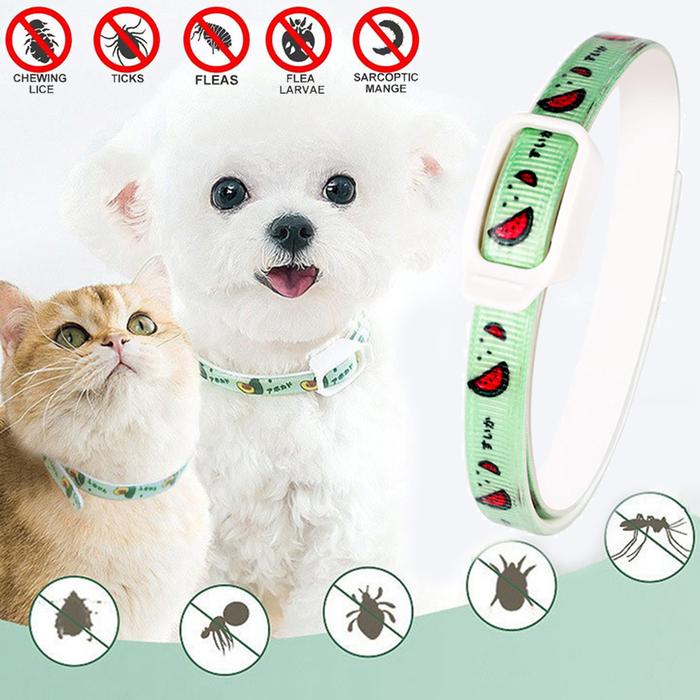 Dog Anti Flea And Tick Cat Collar Months Protection Retractable Pet  Control Collar For Puppy Cat Flea Tick Prevention Collar