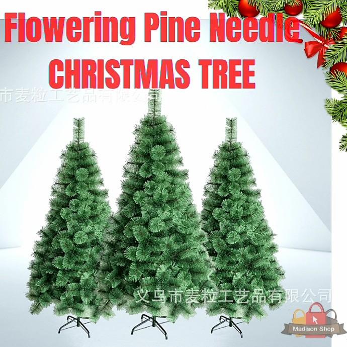 Gambar sale GROSIR Pohon Pinus Pine Needle 60 90 120 150 180 210 Christmas Tree - 90 cm ( 3 FT ) - 60 cm ( 2 FT ) dari Marsmellowship undefined Tokopedia