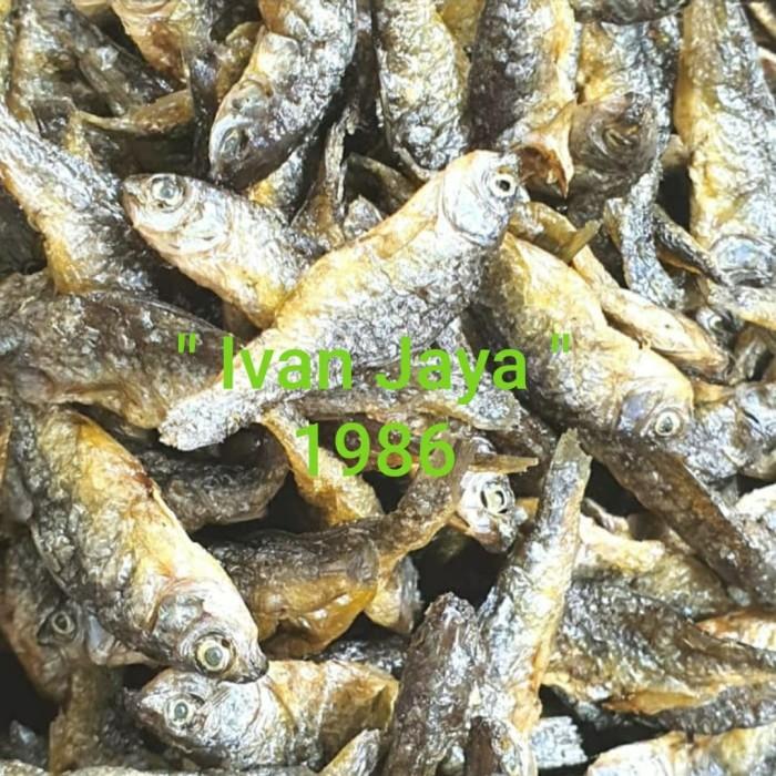 Gambar Ikan Danau Singkarak/Bilih Kecil/Bilis/Tawar Padang 1Kg/1000 Gram Yukurre dari yukurre undefined Tokopedia