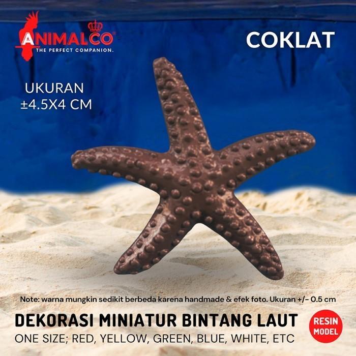 Gambar Miniatur Bintang Laut Dekorasi Aquarium Hiasan Aquascape Imitasi Akuarium ikan Resin Warna Warni Mini Starfish - Coklat dari Animal Co undefined Tokopedia