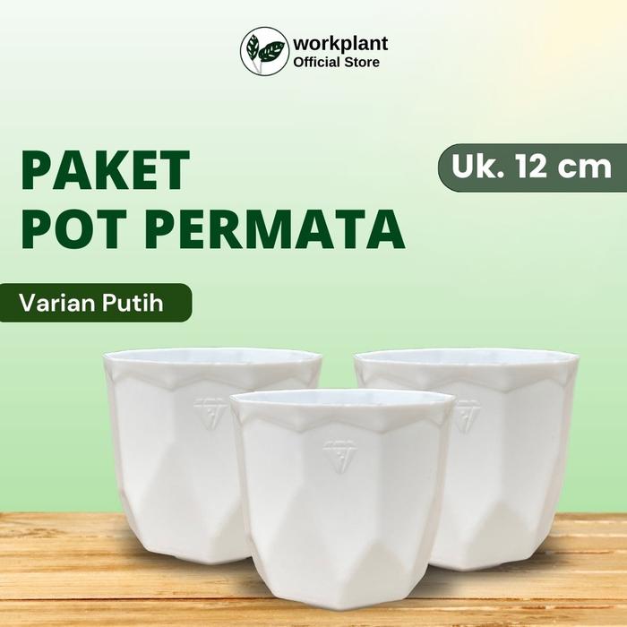 Gambar Workplant - Paket Pot Permata Untuk Semua Jenis Tanaman Hias Ukuran 12 - Putih, Isi 3 pcs dari workplant official undefined Tokopedia