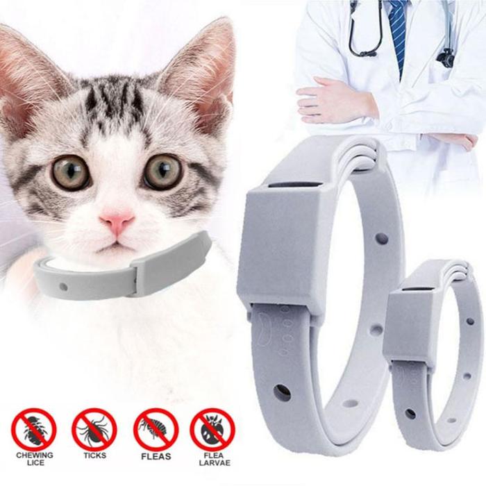 Jual Pet Flea And Tick Collar Dog Cats Month Flea Tick