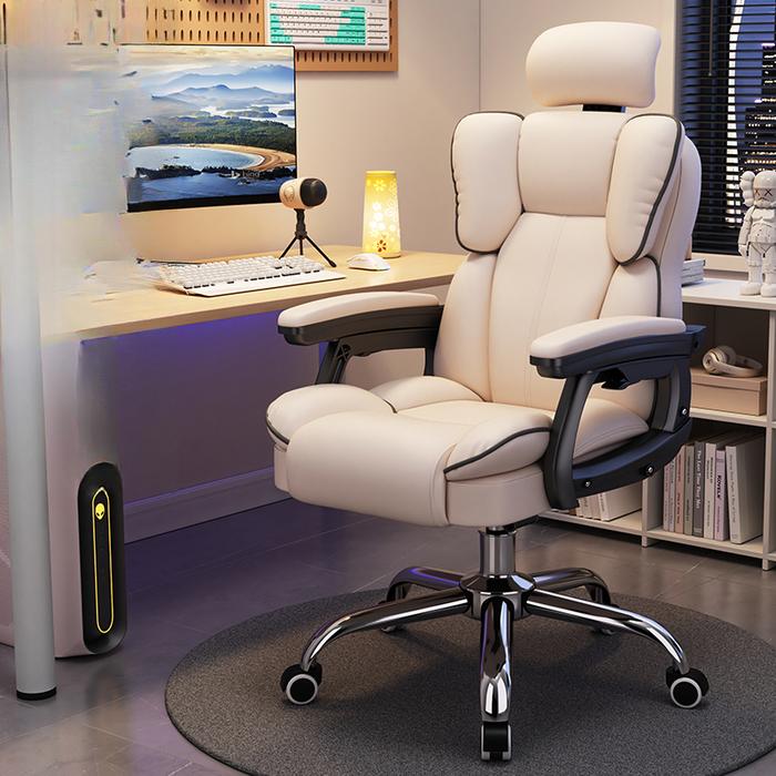 Jual Computer Ergonomic Office Chair Comfortable Study Luxury