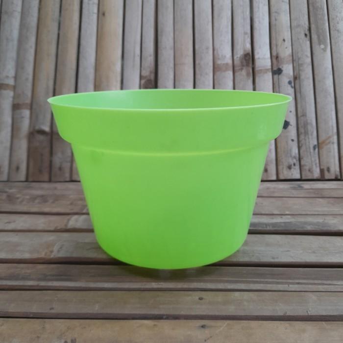 Gambar Pot Koi 25 Warna dari BENIH BAIK GROUP undefined 5 Tokopedia