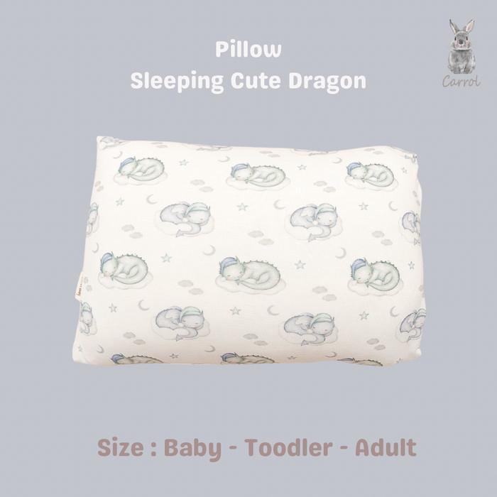 Gambar Mm'' Carrol Baby Pillow Adult Size - Bantal Dewasa Tencel - Sleeping Animals Collections - Sleeping Dragon, Case Only dari jui shop1 undefined Tokopedia